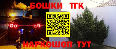тгк Партизанск