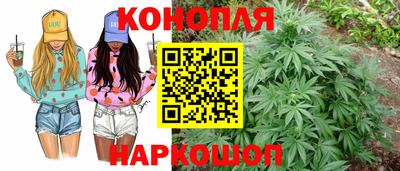 тгк Партизанск